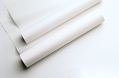 Avalon Papers Exam Table Paper, White, 21" x 125” (Pack of 12) - Barrier Protection – Standard Crepe Paper - Medical Supplies (617)